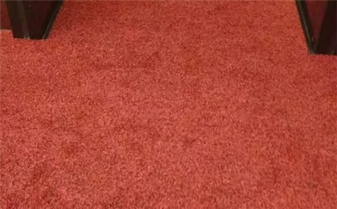 酒店适合大面积铺设羊毛地毯吗？