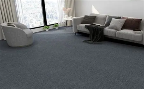 分享一些清洁尼龙地毯的方法