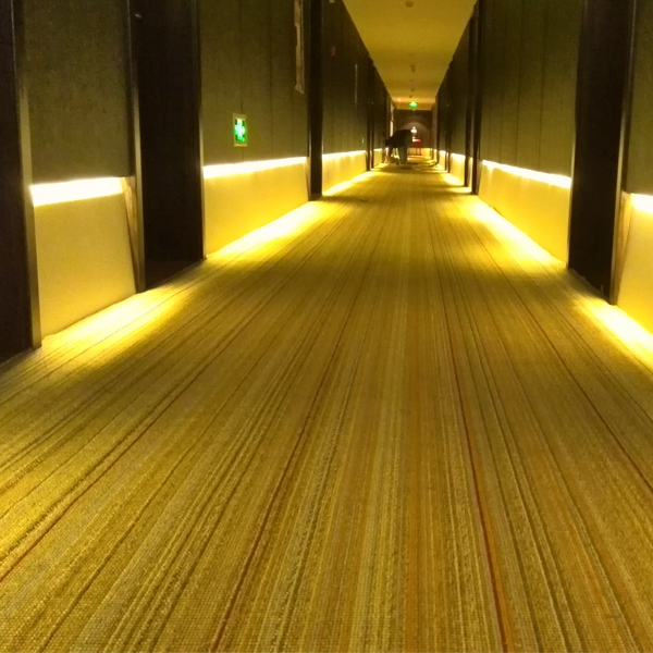 成都地毯的清洗方法